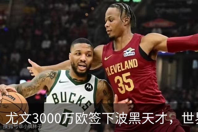 尤文3000万欧签下波黑天才，世界杯世界波一战成名世界杯赛场从来不打无准备之仗，但有些球员总能用最猝不及防的方式，让全世界记住自己